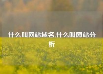什么叫网站域名,什么叫网站分析