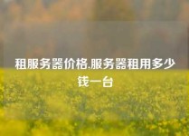租服务器价格,服务器租用多少钱一台