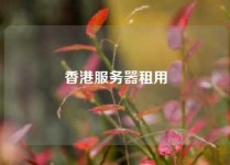 香港服务器租用,香港服务器租用哪家好
