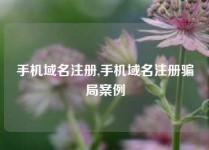 手机域名注册,手机域名注册骗局案例