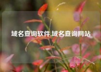 域名查询软件,域名查询网站