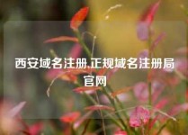 西安域名注册,正规域名注册局官网