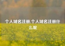个人域名注册,个人域名注册什么呢
