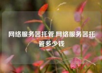网络服务器托管,网络服务器托管多少钱