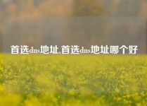 首选dns地址,首选dns地址哪个好