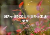 国外vps服务器租用,国外vps加速免费