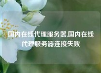 国内在线代理服务器,国内在线代理服务器连接失败