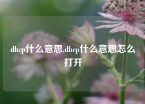 dhcp什么意思,dhcp什么意思怎么打开