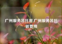 广州服务器托管,广州服务器托管费用