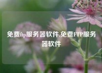 免费ftp服务器软件,免费FTP服务器软件