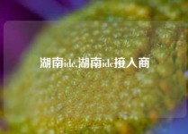 湖南idc,湖南idc接入商