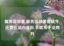 服务器部署,服务器部署在境外,还要在境内备份,不就等于没用吗