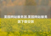 美国网站服务器,美国网站服务器下载安装