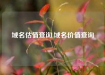 域名估值查询,域名价值查询