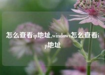 怎么查看ip地址,windows怎么查看ip地址