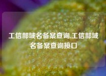 工信部域名备案查询,工信部域名备案查询接口