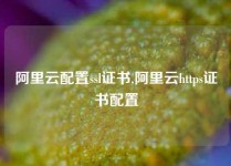 阿里云配置ssl证书,阿里云https证书配置
