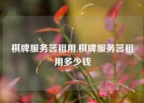 棋牌服务器租用,棋牌服务器租用多少钱