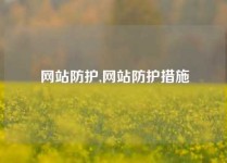 网站防护,网站防护措施
