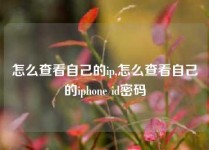 怎么查看自己的ip,怎么查看自己的iphone id密码