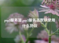 pop3服务器,pop3服务器默认使用什么协议