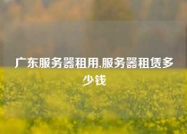 广东服务器租用,服务器租赁多少钱
