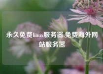 永久免费linux服务器,免费海外网站服务器