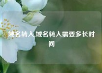 域名转入,域名转入需要多长时间