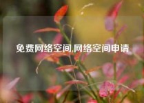 免费网络空间,网络空间申请