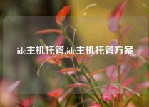 idc主机托管,idc主机托管方案
