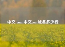 中文 com,中文com域名多少钱