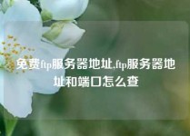 免费ftp服务器地址,ftp服务器地址和端口怎么查