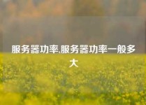 服务器功率,服务器功率一般多大