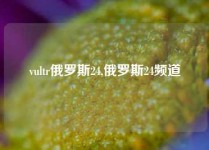 vultr俄罗斯24,俄罗斯24频道