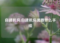 自建机房,自建机房需要什么手续