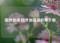 国外加速,国外加速器软件下载