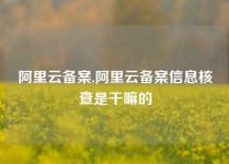阿里云备案,阿里云备案信息核查是干嘛的