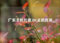 广东主机托管,IDC主机托管