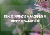 如何查询域名备案号,如何查询预包装食品备案信息