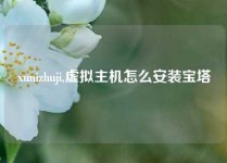 xunizhuji,虚拟主机怎么安装宝塔