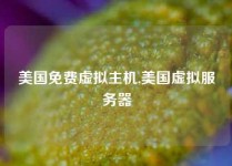 美国免费虚拟主机,美国虚拟服务器
