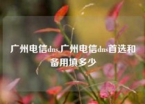 广州电信dns,广州电信dns首选和备用填多少