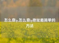 怎么查ip,怎么查ip地址最简单的方法