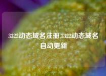 3322动态域名注册,3322动态域名自动更新