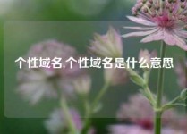 个性域名,个性域名是什么意思