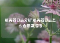 服务器日志分析,服务器日志怎么看哪里报错