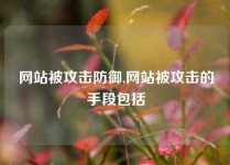 网站被攻击防御,网站被攻击的手段包括
