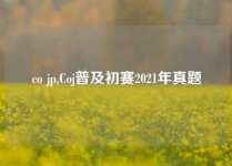 co jp,Coj普及初赛2021年真题
