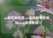vps虚拟服务器,vps虚拟服务器链接tiktok视频教程