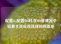 配置iis,配置IIS时,在IIS管理器中设置主页应该选择的标签是